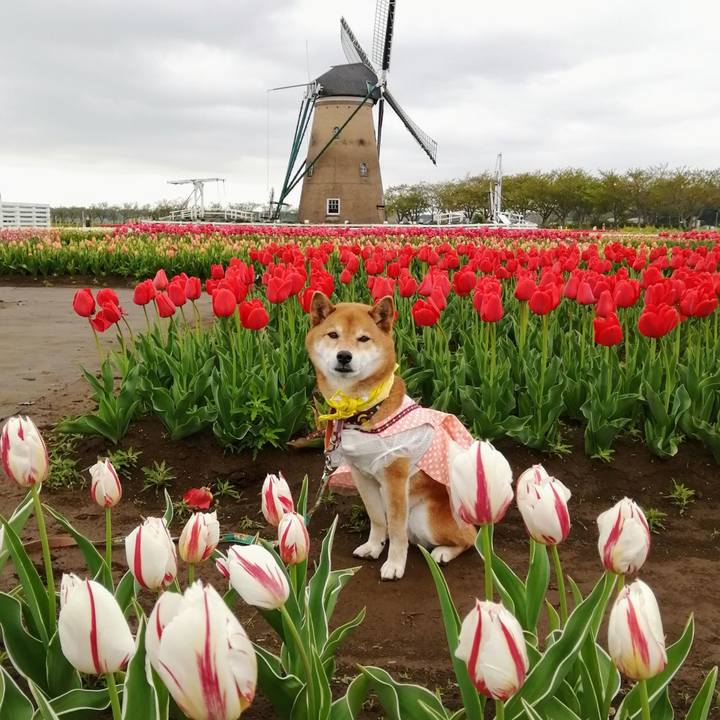 A3709925 14b5 46fc a443 d515eb475271 1617702774192