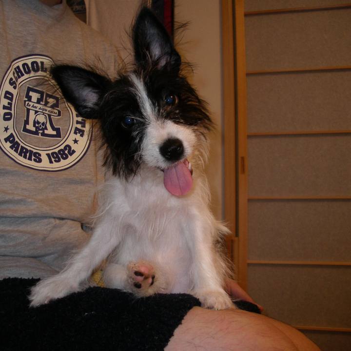 A370bb35 f89d 41a0 8dc2 c4051a855e07 1528624745744