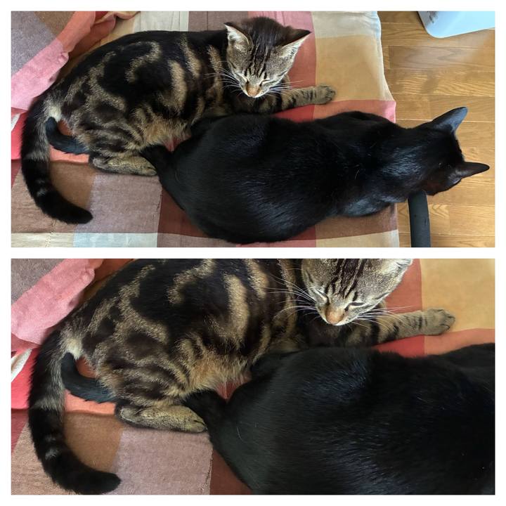 A370bc2e bb98 4f6f 8374 99ff11875b58 1751706613613