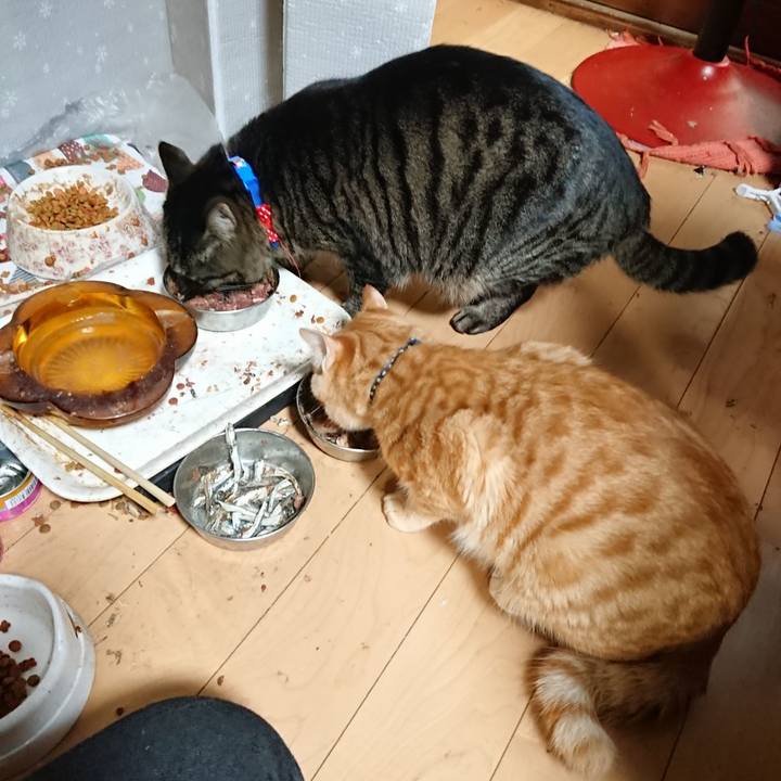 A370cab0 194e 4afb b123 508a5b4a050c 1642674871232