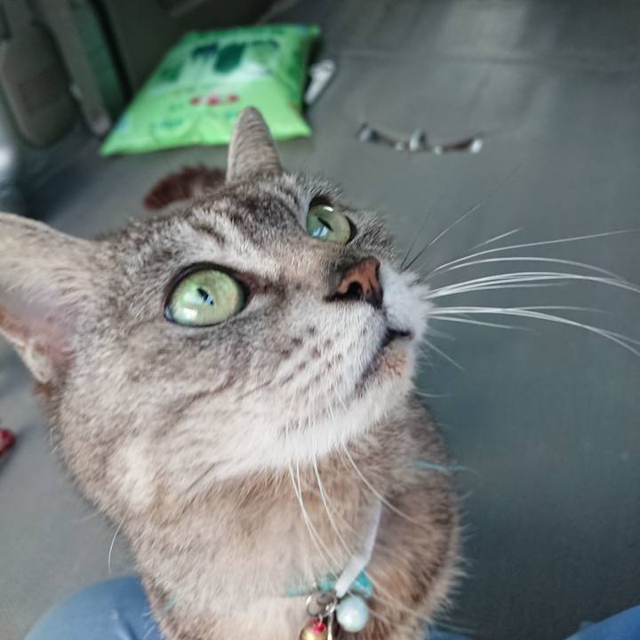 A370f7dc 6c4c 456a 8d3f 173c65bc7319 1559554425819