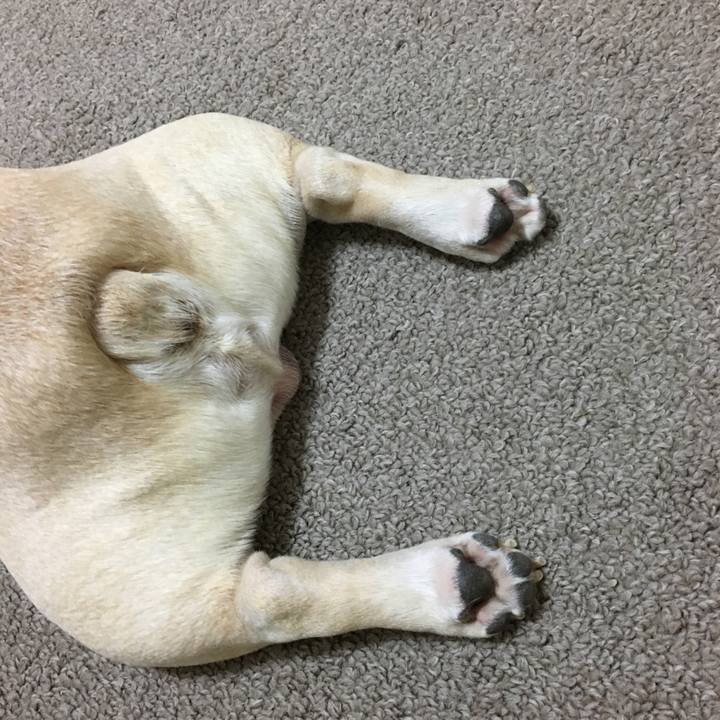 A371157e 5da8 4708 9686 27185c3c9e6f 1509016777633