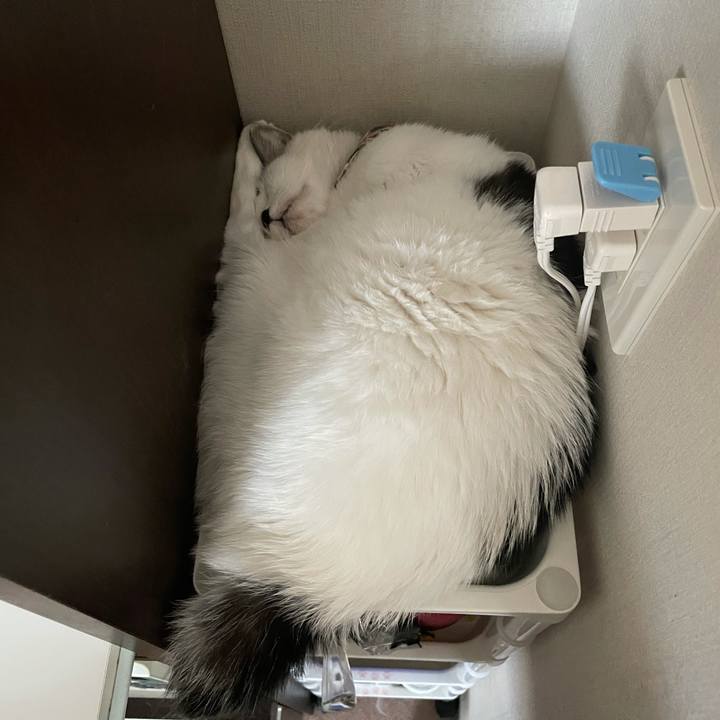 A3712099 419f 461e afb1 5d56b251cc1f 1632195008488