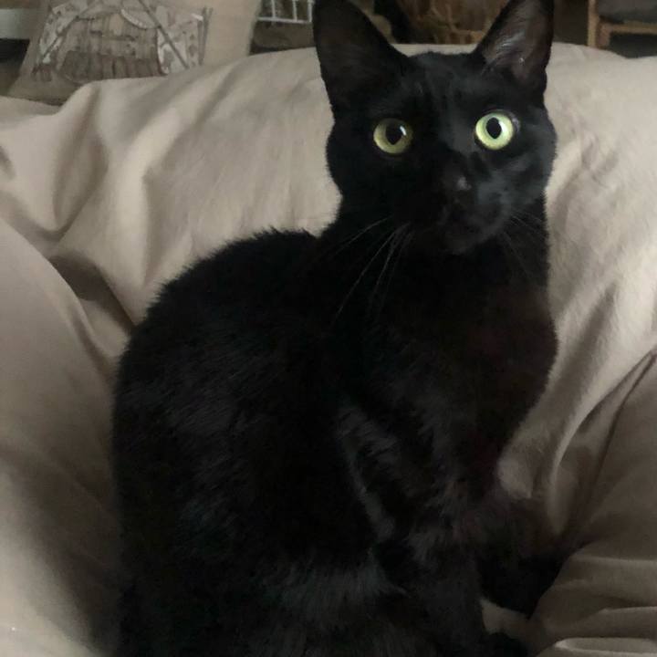 A371215c 3583 4322 ad7c b2ec6751674f 1644283457938