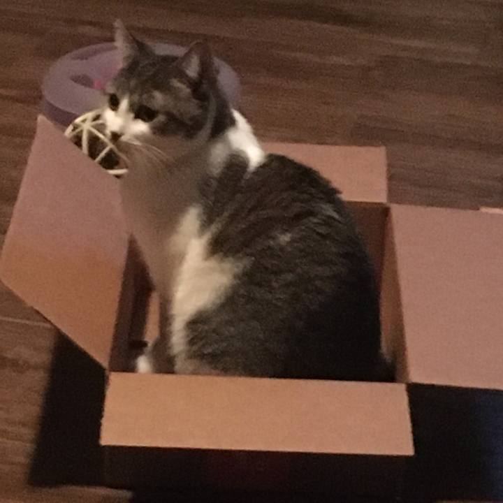 A37124c5 a3f2 42fe b4cc a3805634b452 1687994940833