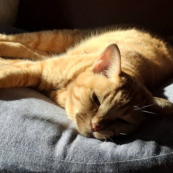 A3713428 804d 45d2 a040 7ea6b2b6aad8 1763082265794