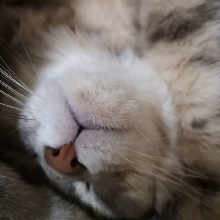 A37150b6 d67e 4d22 b4e9 58f21858012f 1576886133874