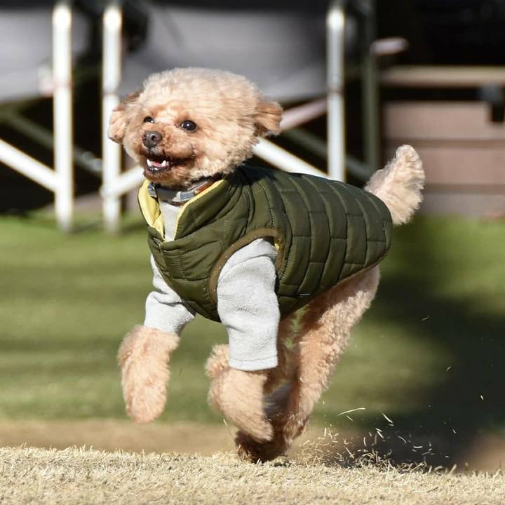 A37153cb 08b9 4913 b4d4 68fb756165a8 1584976816277