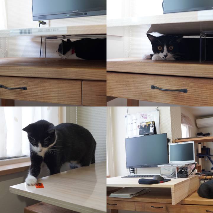 A3716442 7f43 42c7 b5a9 723b3b66ea0b 1591526196731