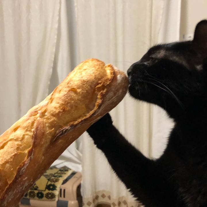 A371af0a 27f4 48b1 8753 5126aae0bf59 1554505012892