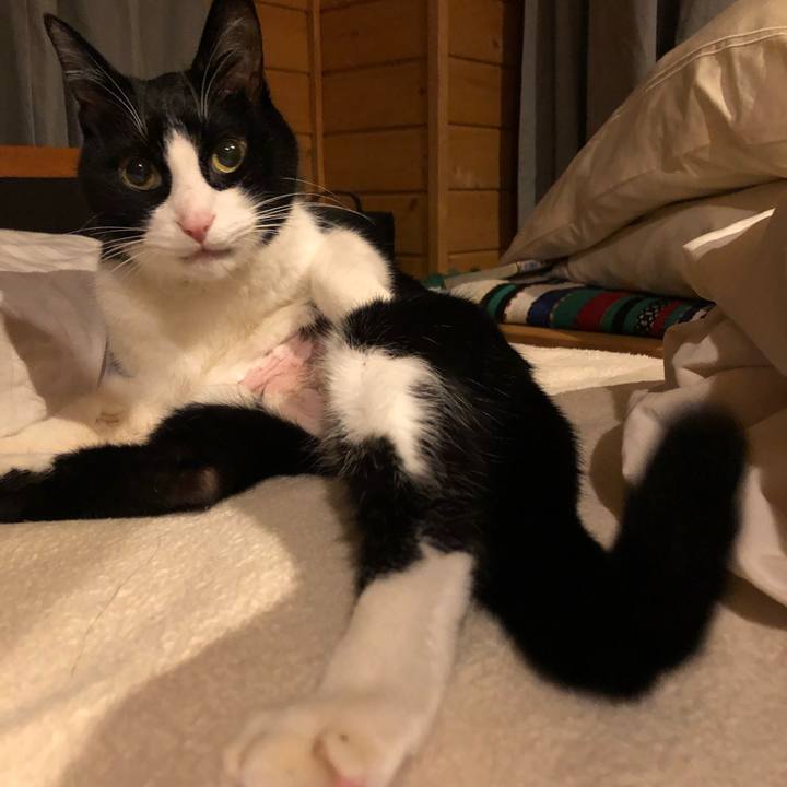 A3723c29 d5e8 400c 95c2 2d815b428d16 1604921470408