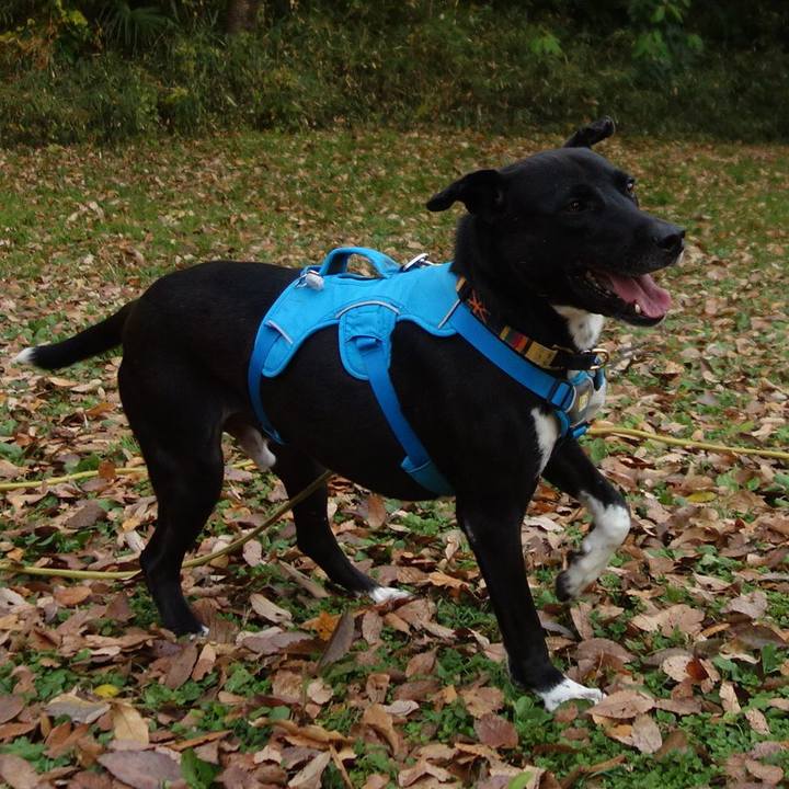 A3726c72 a5d7 426c 8132 70e40281290b 1606607045671