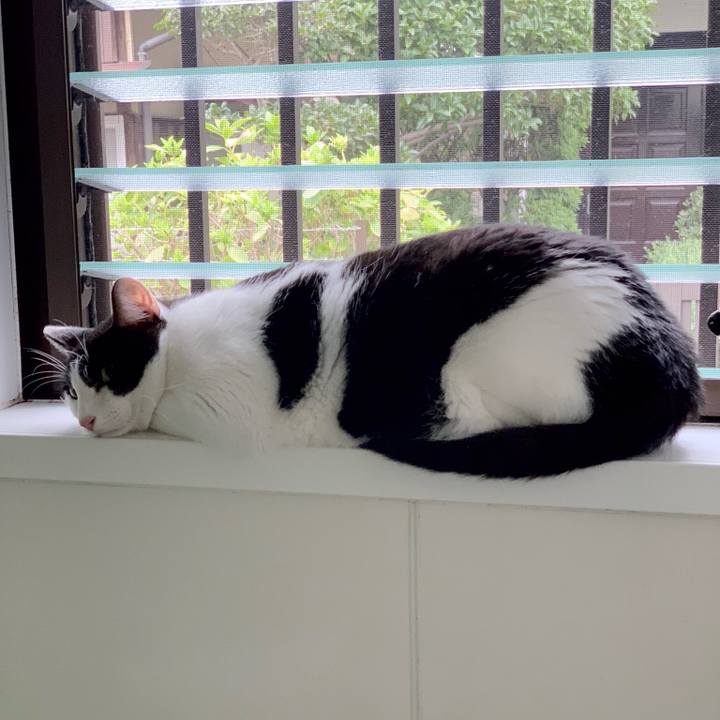 A372737b bbb9 4788 9280 0f1abaa76f73 1538533064451