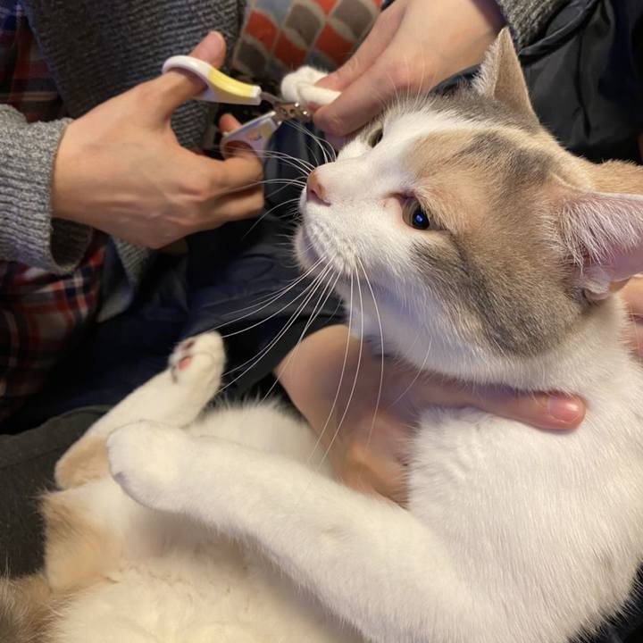 A3727d9a 1ead 4a23 ae7b d3c0f6dcc798 1582729322563