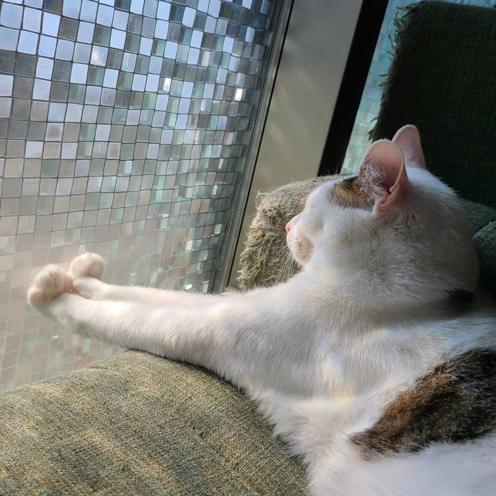 A372a464 45ef 473b 8b73 00ef6ce3f522 1648887057978