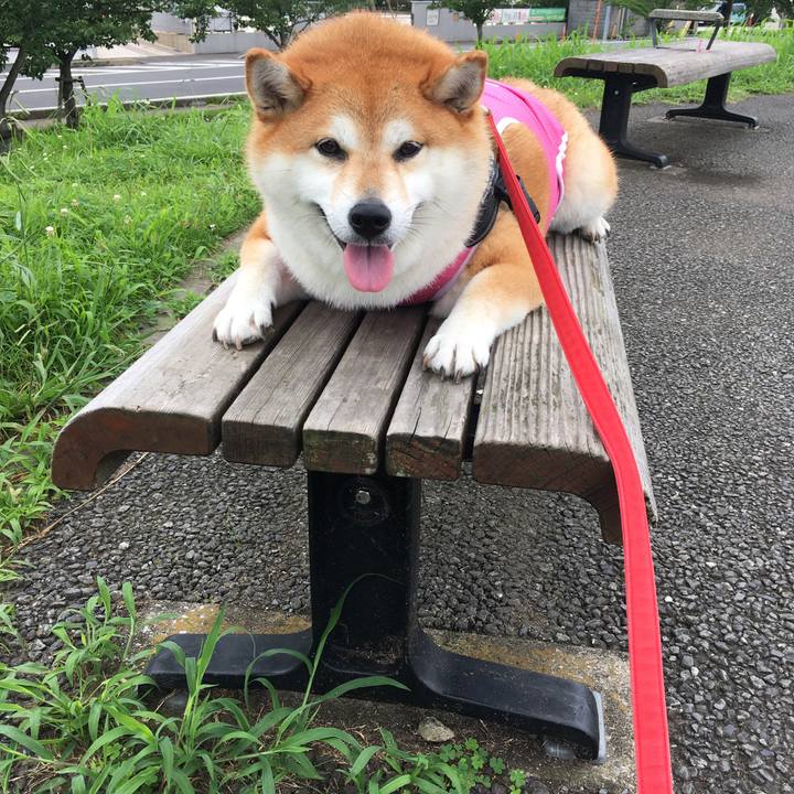 A372d57e 1f0e 4833 9b56 1dd76d5152c3 1595822276774