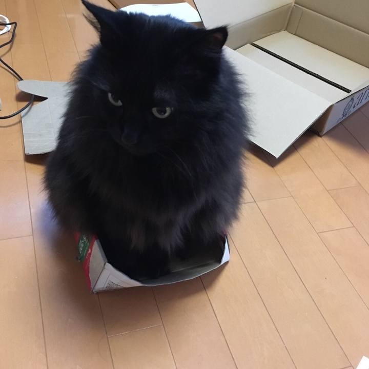 A372f323 b7d0 43a0 86f8 145d59e8ac90 1547779477687