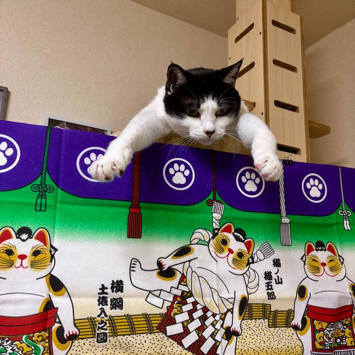 A37307f7 2a68 4fd8 a6c0 5ee3802e6b41 1760865715266