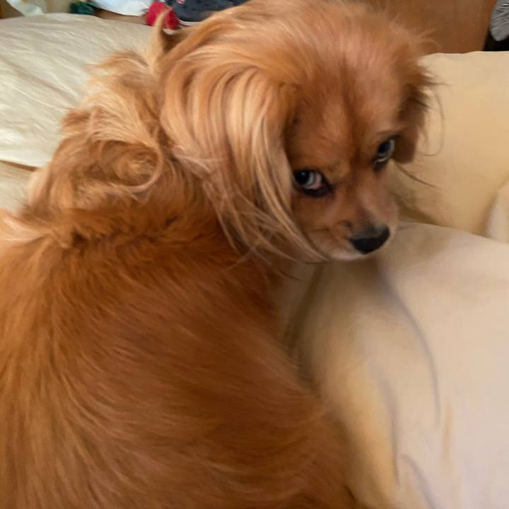 A3732e1a 71e7 4584 8564 90d1b9a50c17 1572822190932