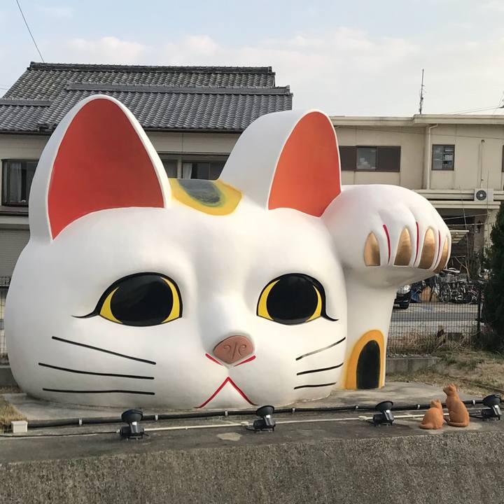 A37336a5 d046 4b77 98d5 ec6ad11aaa6f 1522198194245