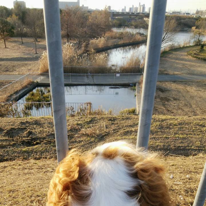 A37339d9 8925 4dd6 a671 7c27a6567c38 1546849264302