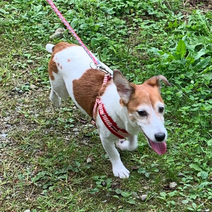 A373533a 18d4 408f a5e4 6724cb9a4146 1571151656916