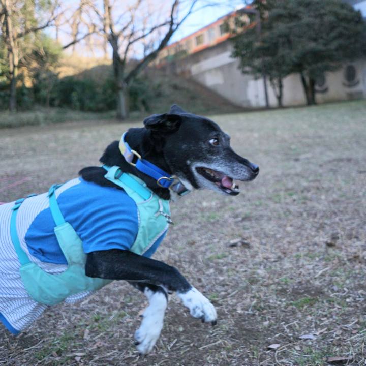 A3735a6d 0d20 4650 bbd0 349804d9b7c7 1771463703182