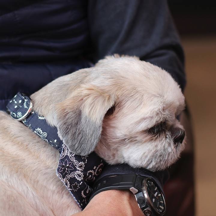 A37380a9 bc82 4803 9c69 16c9ce7039cb 1578145990295