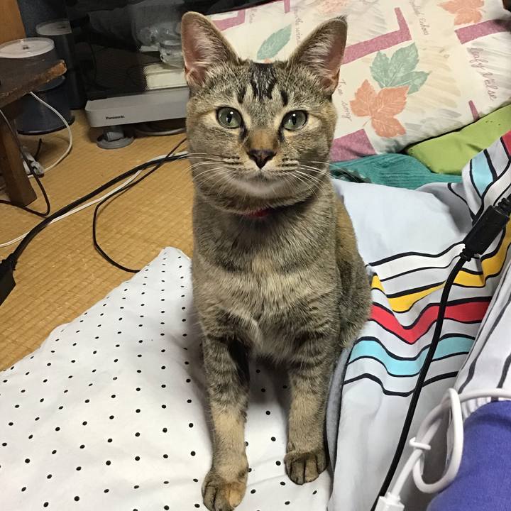 A373873d 90c0 4997 b684 049d7861d71d 1583392014582