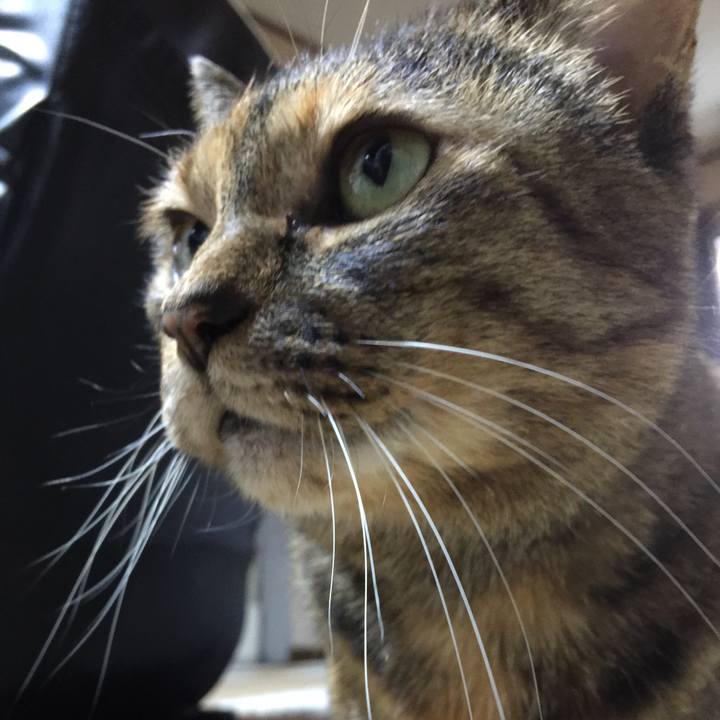 A373aad4 c69c 4333 a4a3 42067fd384ea 1512540300020