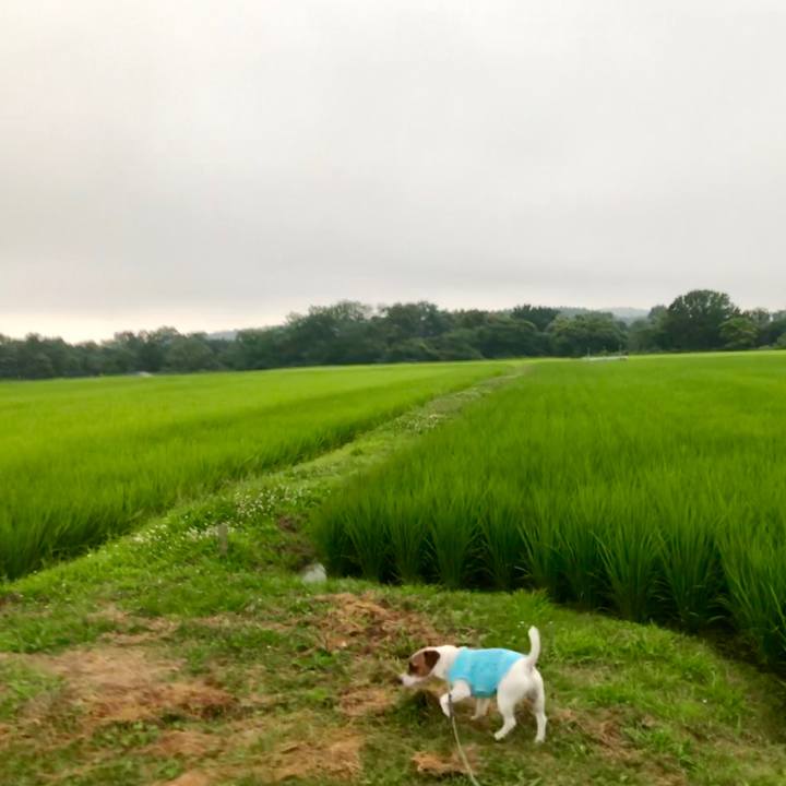 A373adcc 989c 4950 be4f 8377bc1401c1 1564831663218