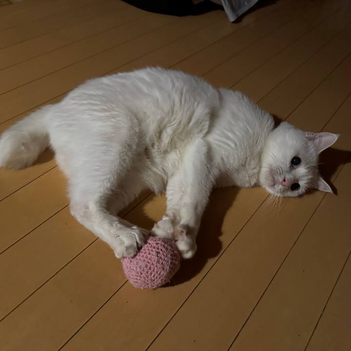 A373b98e 826e 4c4d 939f 650e00509a8d 1764690815461