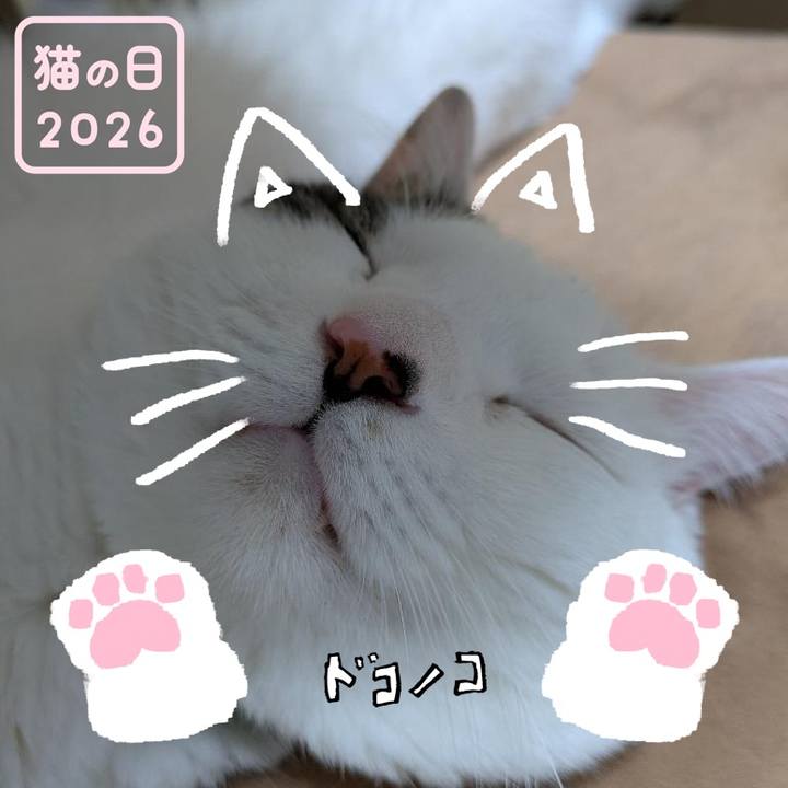 A373ba03 c6c5 4763 9eeb ee354e4323dc 1771787423375