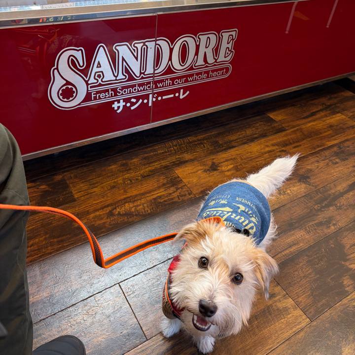 A37413ff fa93 42e8 93d1 ecd396018691 1770251540257