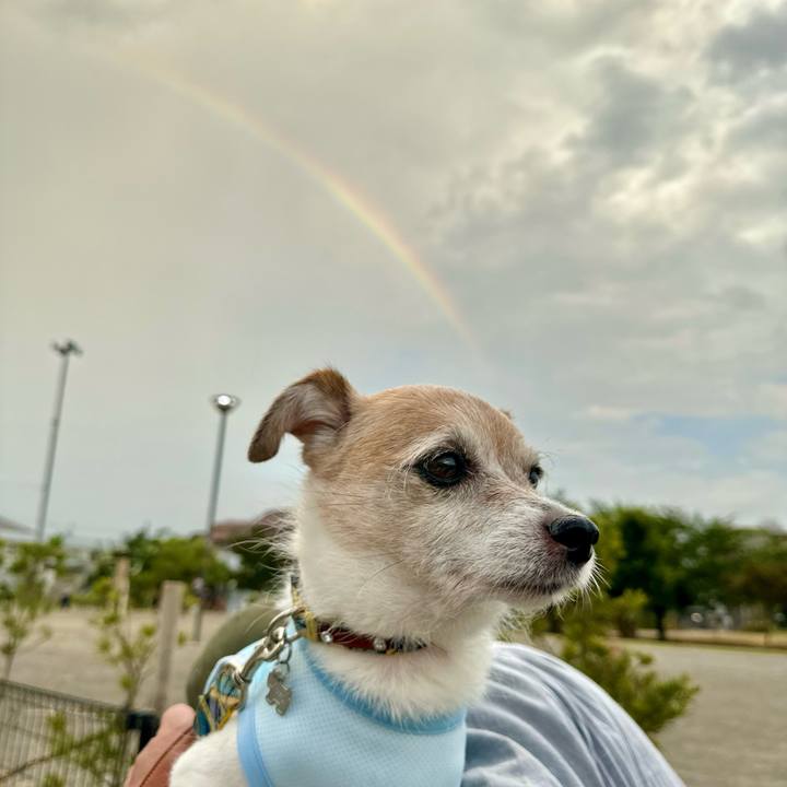 A374196c c8a6 4b14 8f8a f5770f20301e 1691362804519