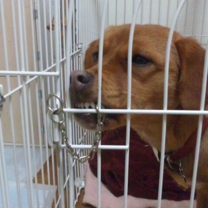 A37419eb c998 4611 8598 16e09be99ad5 1515893916343