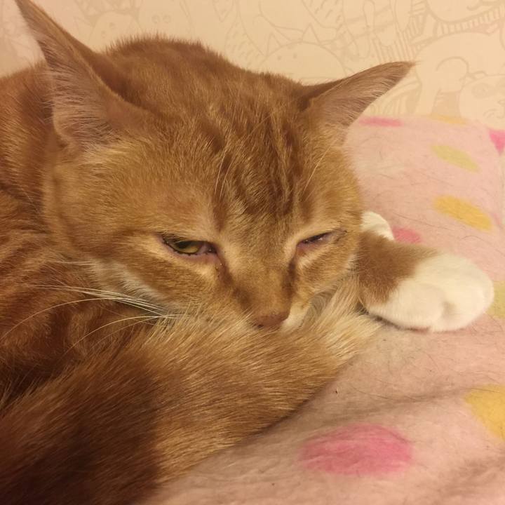 A3741c91 2ac2 4a66 ae45 fd8b544afca3 1554985559329