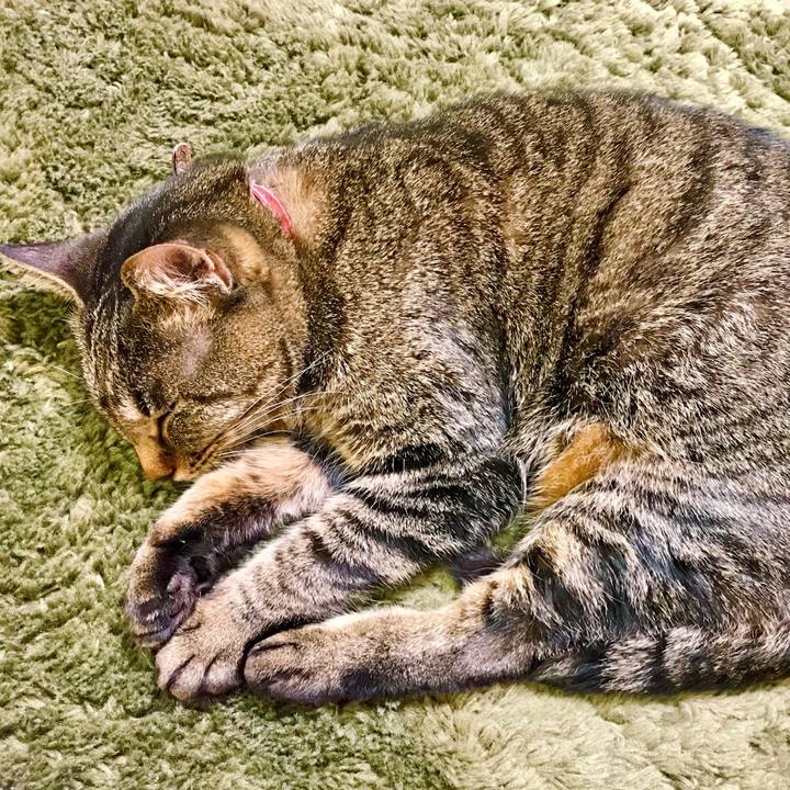 A37425a0 366b 4da2 a5ed 9b2be36ea095 1516800416434