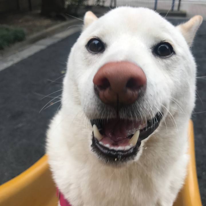 A37454bb 08e9 41fa 9181 3d461f760076 1511826059798