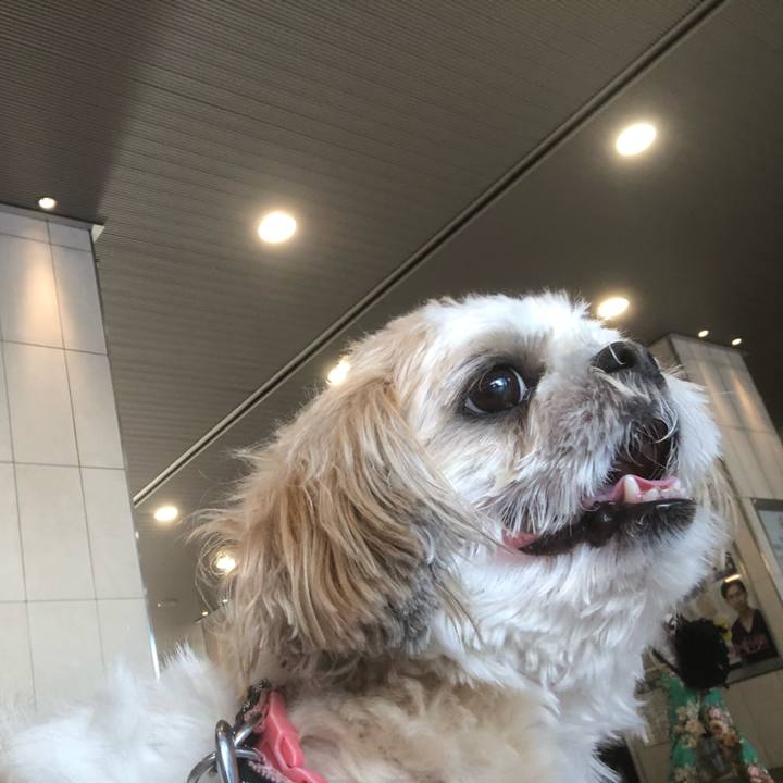 A3746690 9c4a 412f 8bcf 3d38b746bfc8 1627422268374