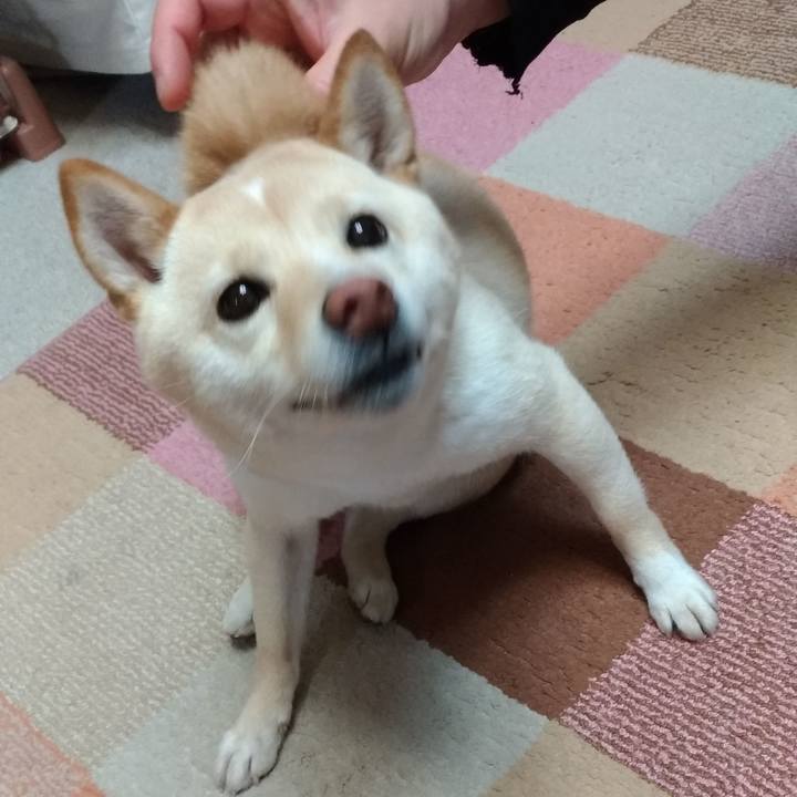 A374d274 2e08 498a 8453 3bab0e113f6b 1581805738262