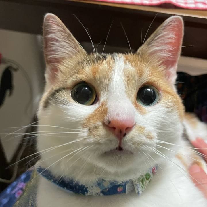 A3752da2 26da 4201 bb6f 7b6024e4afab 1688828745810