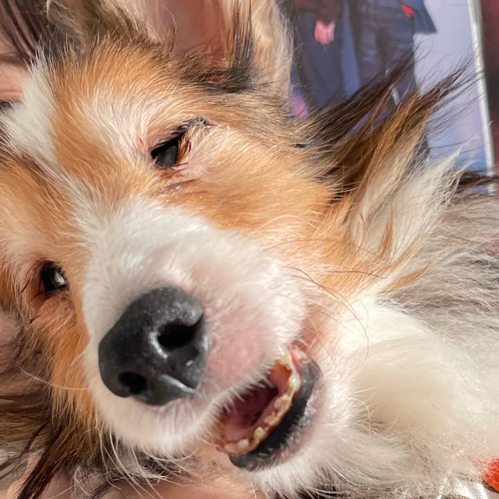 A3754882 2cbc 4a2f 9610 f75b843d1944 1665908412067