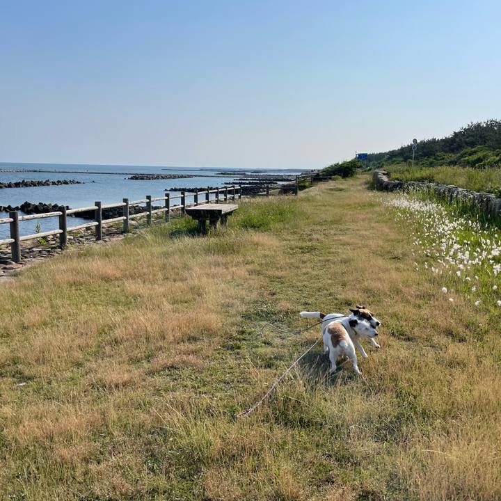 A3754be0 2fef 4f45 89f3 51e2becdc76d 1687043305156