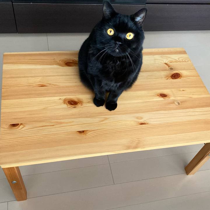 A3757388 d02f 48ff bb8b c39ac93f2f60 1721813390721