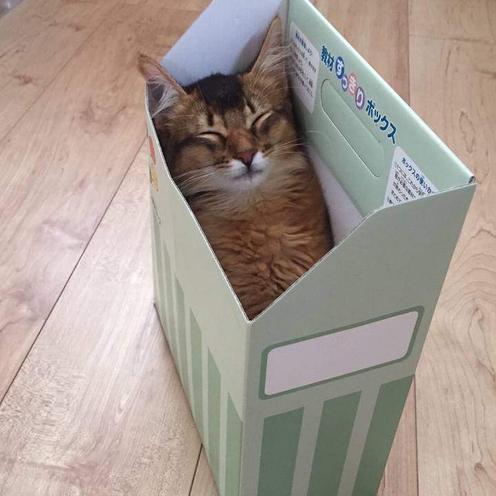 A3757454 b942 464d 89f2 562aabf32699 1566708064956