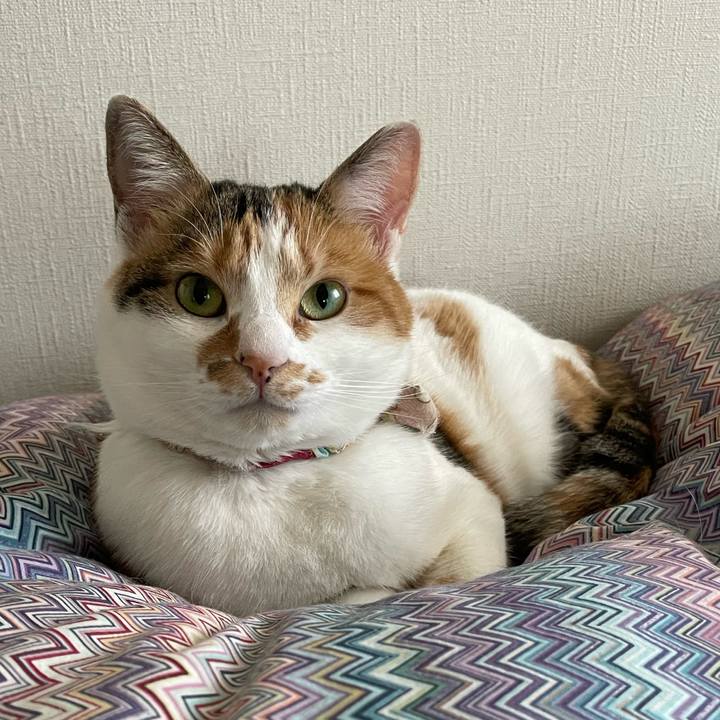 A3758096 b3f9 4079 9617 78261719e34b 1645058120998