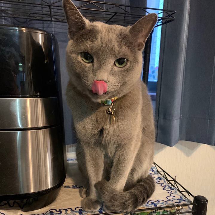 A375924b 7fda 4ec5 a3f3 e41d54a247f5 1643150454455