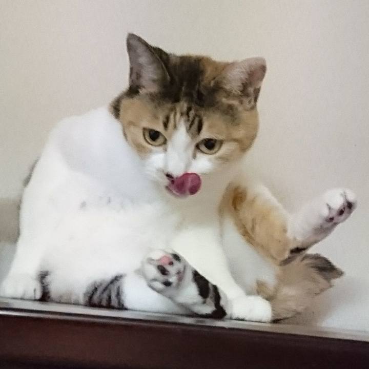 A37594c5 4ea0 4714 a427 27adb840acb1 1553922892549