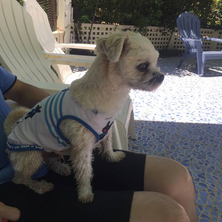 A3759c1e 027c 45b7 a6e4 65b5f97353de 1534511893492